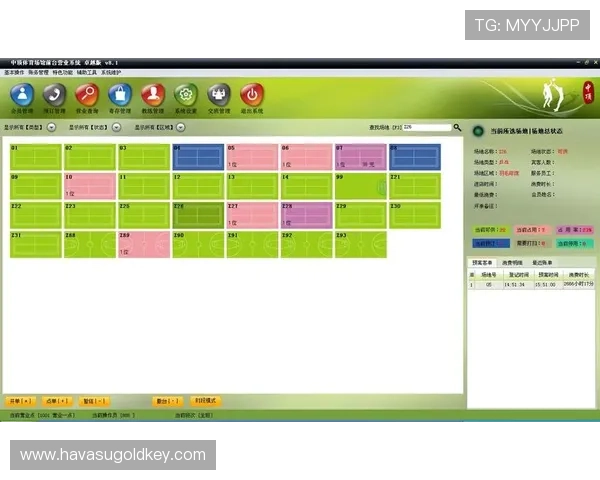 v体育电脑版常见问题及解决方案,帮助用户排除使用中的各种困扰